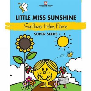 Thompson & Morgan Mr Men & Little Miss Sunflower Helios Flame