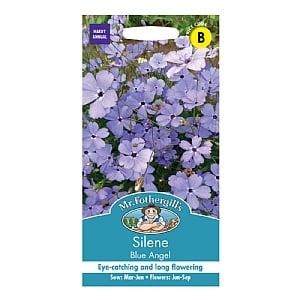 Mr Fothergills Silene Blue Angel Seeds