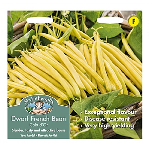 Mr Fothergills Dwarf French Bean Cala D'or Seeds