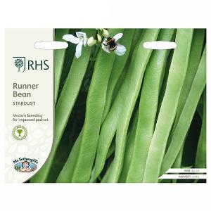 RHS Runner Bean Stardust Seeds