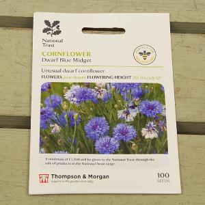 Thompson & Morgan National Trust Cornflower Dwarf Blue Midget