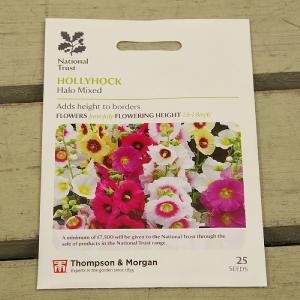 Thompson & Morgan National Trust Hollyhock Halo Mixed