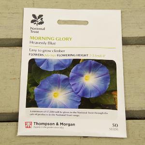 Thompson & Morgan National Trust Morning Glory Ipomea Heavenly Blue