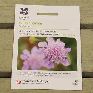 Thompson & Morgan National Trust Wild Flower Scabious