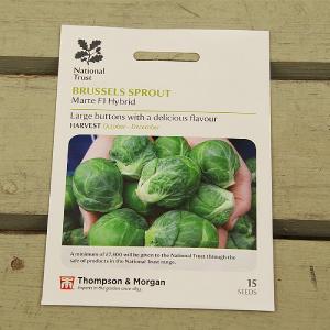 Thompson & Morgan National Trust Brussels Sprout Marte F1 Hybrid