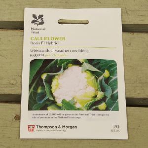 Thompson & Morgan National Trust Cauliflower Boris F1 Hybrid