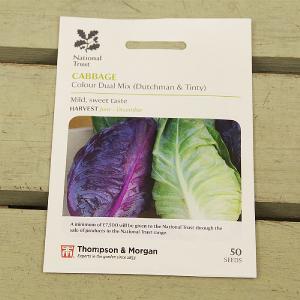 Thompson & Morgan National Trust Cabbage Colour Dual Mix Tinty & Dutchman