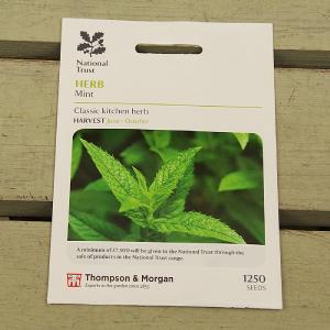 Thompson & Morgan National Trust Herb Mint