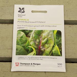 Thompson & Morgan National Trust Spinach Pv1390 Red Veined F1 Hybrid