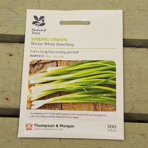 Thompson & Morgan National Trust Spring Onion Winter White Bunching