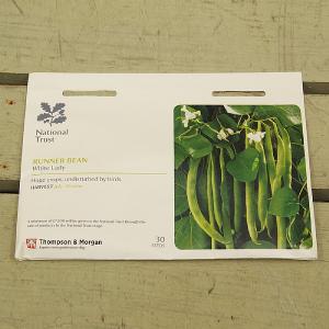 Thompson & Morgan National Trust Runner Bean White Lady