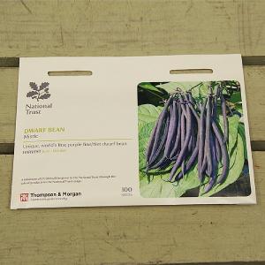 Thompson & Morgan National Trust Dwarf Bean Mistic