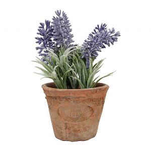 Fallen Fruits Artificial Lavender Aged Terracotta Pot - Small