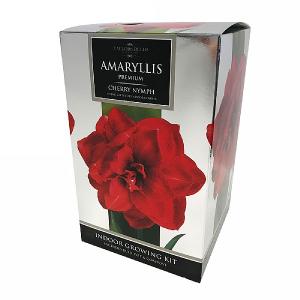 Amaryllis Cherry Nymph Indoor Growing Kit