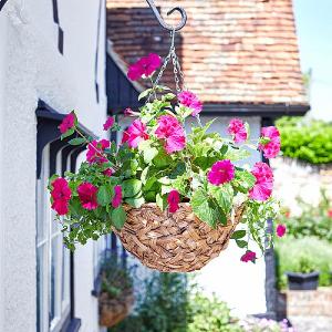 Smart Garden Déco Faux Rattan Hanging Basket - 14''