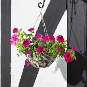 Smart Garden Oceana Faux Rattan Hanging Basket - 14''