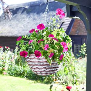 Smart Garden Duet Faux Rattan Hanging Basket - 14''