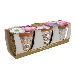 Grow Your Own Indoor Windowsill Flowers Gift Set