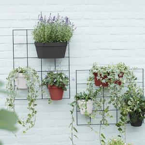 Elho Loft 28cm Urban Green Wall Duo - Anthracite