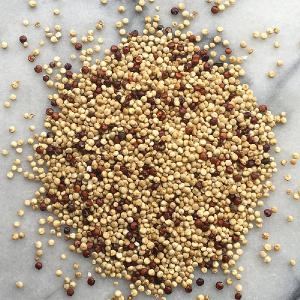 Hodmedods Red & White Quinoa 500g