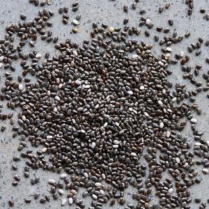 Hodmedods Chia seeds 500g