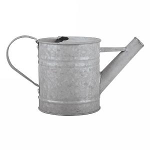 Fallen Fruits Old Zinc Watering Can 0.8L