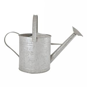 Fallen Fruits Old Zinc Watering Can 3.6L