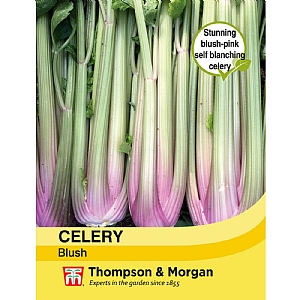 Thompson & Morgan Celery Self-Blanching Blush Seeds