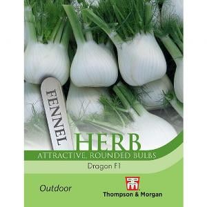 Thompson & Morgan Herb Fennel Dragon F1 Hybrid Seeds