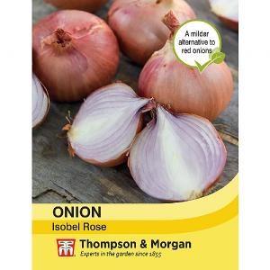 Thompson & Morgan Onion Isobel Rose