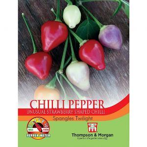 Thompson & Morgan Pepper Chilli Spangles Twilight