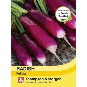 Thompson & Morgan Radish Felicia