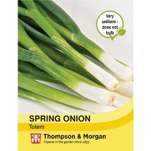 Thompson & Morgan Spring Onion Totem
