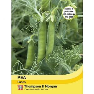 Thompson & Morgan Pea Pacco Seeds