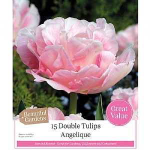 Double Tulips Angelique (20 Bulbs)
