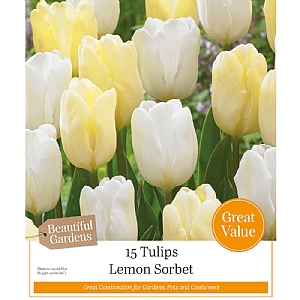 Tulips Lemon Sorbet Combination Pack (15 Bulbs)