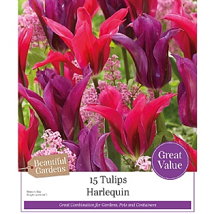 Tulips Harlequin Combination Pack (15 Bulbs)