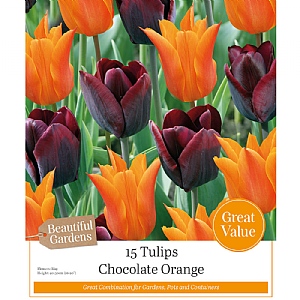 Tulips Orange Sunset Combination Pack (15 Bulbs)
