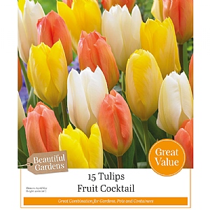 Fruit Cocktail - Mixed Tulips (15 Bulbs)