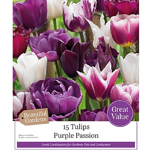 Tulips Purple Passion Combination Pack (15 Bulbs)