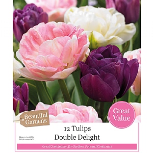 Tulips Double Delight Combination Pack (15 Bulbs)