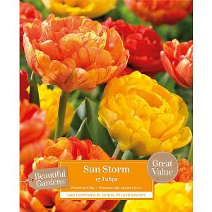 Sun Storm - Mixed Tulips (15 Bulbs)