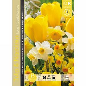 Tulip & Narcissus Combination Pack (15 Bulbs)