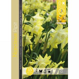 Narcissus Miniature Pipit (15 Bulbs)