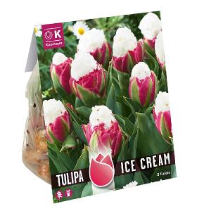 Tulip Ice Cream (5 Bulbs)