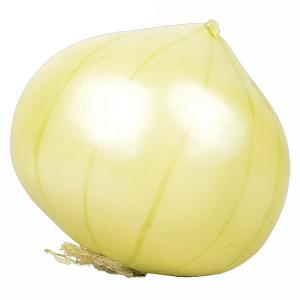 Fallen Fruits Artificial Onion