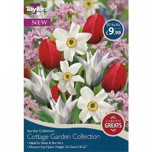 Cottage Garden Collection (50 Bulbs)