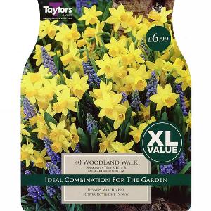 Woodland Walk (40 Bulbs)