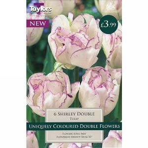 Tulip Shirley Double (6 Bulbs)