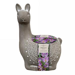 Crocus Striped Ceramic Llama Planter (3 Bulbs)